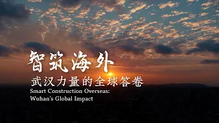 Smart construction overseas: Wuhan's global impact