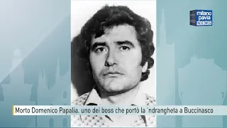 Domenico Papalia, one of the bosses who brought the 'ndrangheta to Buccinasco, has died
