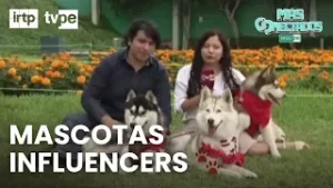 De fiel compañero a influencers: el fenómeno de las mascotas | “Más conectados”