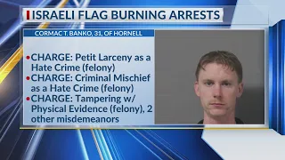 Police: Brothers steal Israeli Flag later destroying it