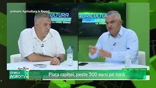 Rapeseed market, over 500 euros per ton 07/09/2026