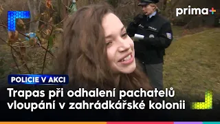 Vyloupený altán | Policie v akci