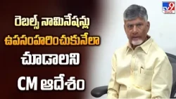 CM Chandrababu Teleconference: రెబల్స్ నామినేషన్లు ఉపసంహరించుకునేలా చూడాలని CM ఆదేశం - TV9