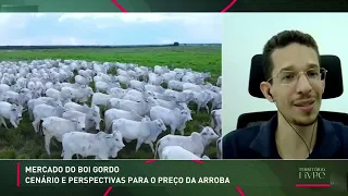 Market Outlook and Price Forecast for Cattle