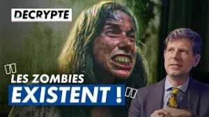Un expert en zombies réagit à The Walking Dead, 28 Ans plus tard, The Last of US… | DECRYPTE