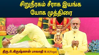 சிறுநீரகம் சீராக இயங்க யோகா முத்திரை | Kidney Function | Krishnan Balaji | MEGA TV