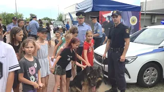 A Useful and Safe Summer: An Interactive Town Opened in the Zhemchuzhny Neighborhood