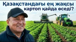 Қазақстандағы ең жақсы картоп қайда өседі? | АГРО KZ