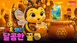 Honey made from the tears of the Sun God? | Honey | Why? Why? Mandu and Food Exploration | Broadc...