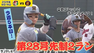 【佐藤輝｜今週5本目！先制2ラン！】滞空時間の長いバックスクリーン弾！日曜日によく打つ！（2026年8月16日 広島―阪神） #サンテレビボックス席