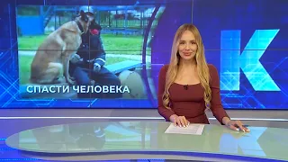 Kaliningrad News — Daily Recap, June 18, 2026 Kaskad TV