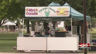 Brookings prepares for 55th Summer Arts Festival