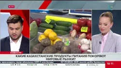 Which Kazakh food products are conquering global markets? Alibek Kaushenov