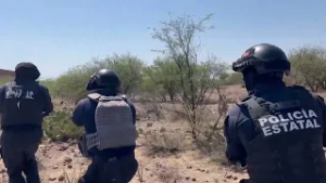 Desarticulan célula delictiva tras enfrentamiento en Villanueva