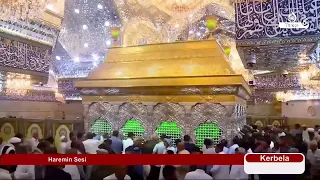 Haremin Sesi: İmam Ali'nin Kur'an Bilgisi ve Ayetlerin Tefsiri
