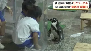 "Market Aquarium" at Takamatsu Central Wholesale Market closes; as penguins return home, plans em...