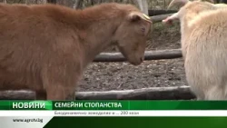 Семейни стопанства: Николай Николов съчетава козевъдство и биодинамично земеделие