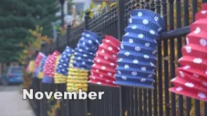 Zostrih TV SEN - november 2025