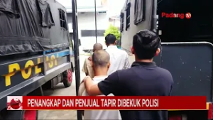 Perdagangan Satwa Dilindungi Terbongkar, Dua Pelaku Tapir Ditangkap