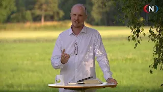 Studio Direkte 15.07.2026 - Sommer på gjestegården