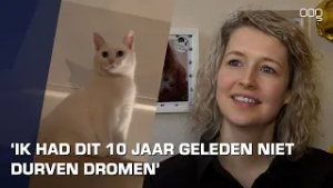 Noorderzonkat vindt thuis in jubilerend kattencafé: “Woensdag de hele dag feest”