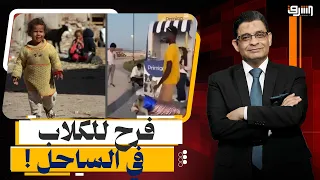 ناس تعمل فرح للكلاب وناس عايشة عيشة كلاب.. قاع الفقر في مواجهة حفلات الملايين بالساحل الشمالي!