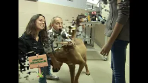 Ekolosko opismenjavanje - 3.  emisija