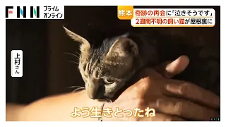 熊本・有明高校、甲子園3回戦進出　爆発時イオンモールにいた小学生「優勝してほしい」　2週間不明の飼い猫と再会に「泣きそうです」（2026年08月14日）