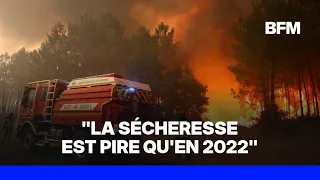 Wildfire in Gironde: "3,700 hectares burned" and 800 firefighters mobilized