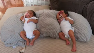 The story of Brave and Kyrie, twins born amidst the flames of the Navas del Rey wildfire