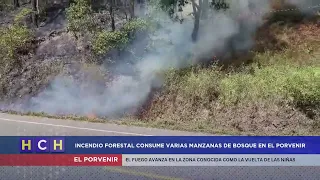 Environmental catastrophe! Forest in El Porvenir has been burning for over 48 hours