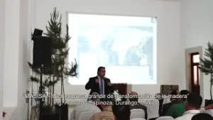 PANEL “INDUSTRIA FORESTAL”