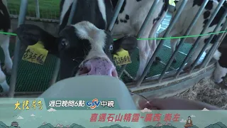 喜遇石山精靈【大陸尋奇】EP2136 精采預告20260719 中視每週日晚間六點