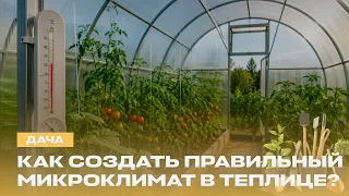 🍅 Почему теплице нужен свежий воздух? Лучшие томаты и умные технологии | Дача