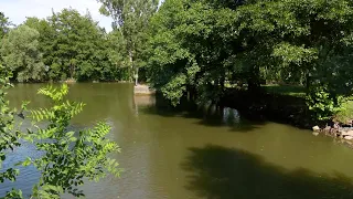 Vinohradský rybník čeká velká proměna