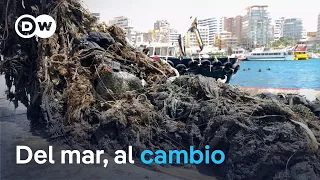 Gravity Wave: when ocean trash turns into design