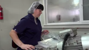 Сделано в Северном Казахстане