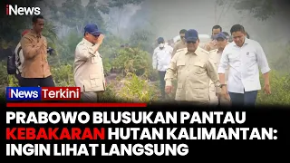 Turun ke Semak-Semak, Prabowo Pantau Kebakaran Hutan Kalimantan: Ingin Lihat Kondisi Nyata