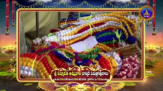 PROMO || SRI PADMAVATHI AMMAVARI PAVITHROTSAVALU || SVBC TTD