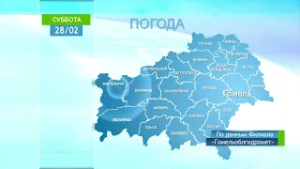 Погода в Гомеле и Гомельской области 28 февраля