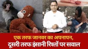 जानवर ने खिलौने में प्यार ढूंढ लिया पर इंसानियत मर गई
