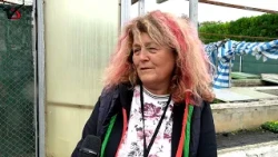 В Ботаническата градина в Балчик зазимяват екзотичните кактуси и засаждат 90 000 лалета