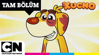KUCHO | Kamera Arkası | TAM BÖLÜM | @cartoonnetworkturkiye