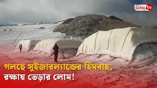 গলছে সুইজারল্যান্ডের হিমবাহ, রক্ষায় ভেড়ার লোম! Bijoy TV