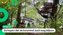 Treehouse in Ede must be removed by the municipality: 'we won't stand for it'