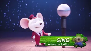 ¡Afinan para perfilarse a la GRAN FINAL!
