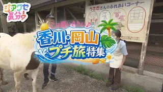 [Happy Vibes!] A Summer Getaway to Okayama & Kagawa: Quick Trips You'll Want to Take – Aired 07/2...