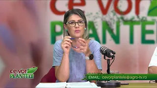 WHAT PLANTS WANT CHRISTINA GHIBU 08/03/2026 P2
