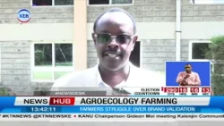 Farmers Urge Government to Recognise Organic Produce and Boost Market Access