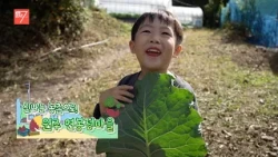 즐거운 가을걷이! 슬기로운 농촌 체험 / 강원매거진7 / [농부가] / G1방송 / 261009